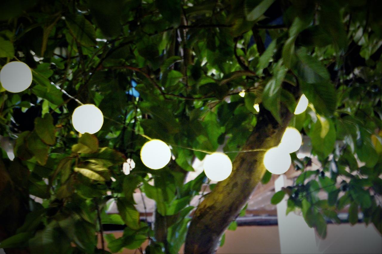 Red River Hostel Σαλβαντόρ Εξωτερικό φωτογραφία